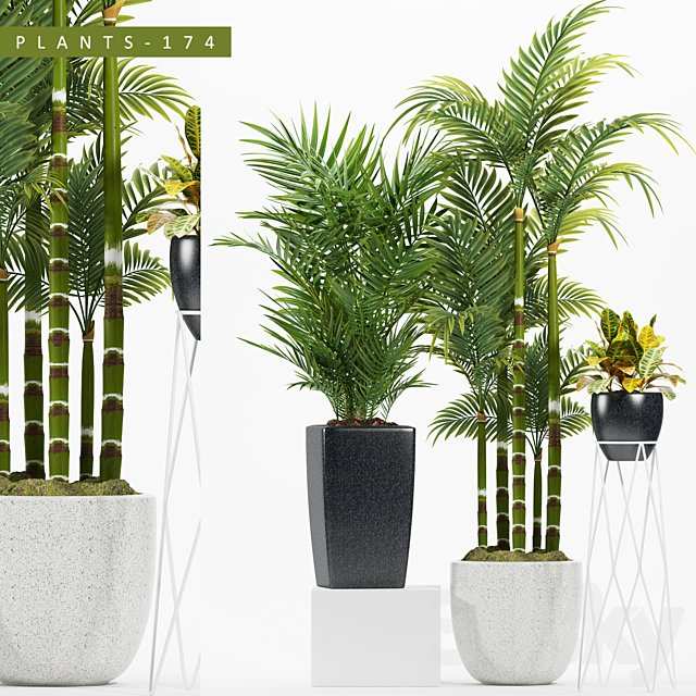 PLANTS 174