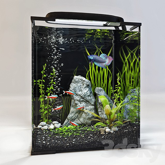 Aquarium