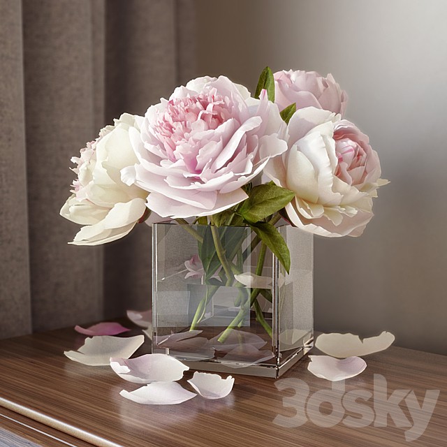 Peonies