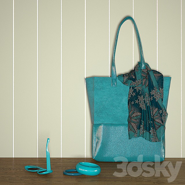 Aqua bag with accessories