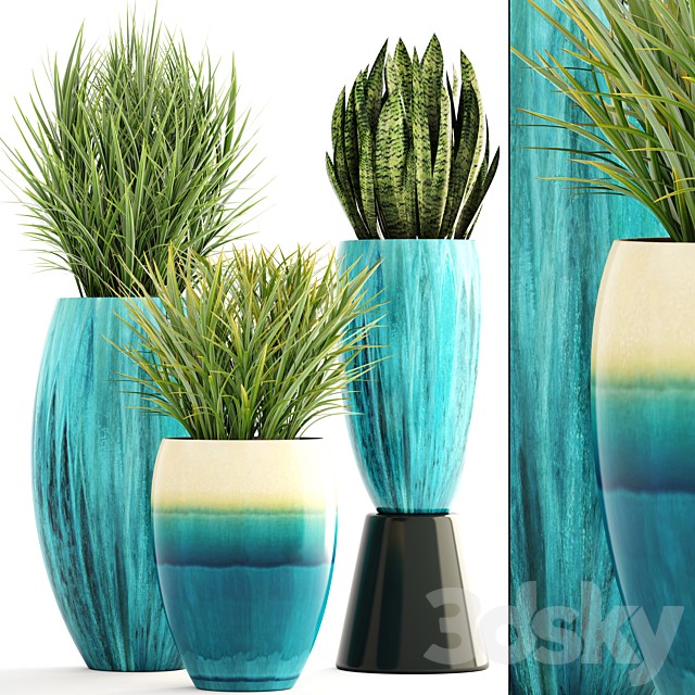 Collection of plants. Pot, flowerpot, street decor, landscape design, bush, grass, sansevieria, turquoise, interior, decorative, Chlorophytum