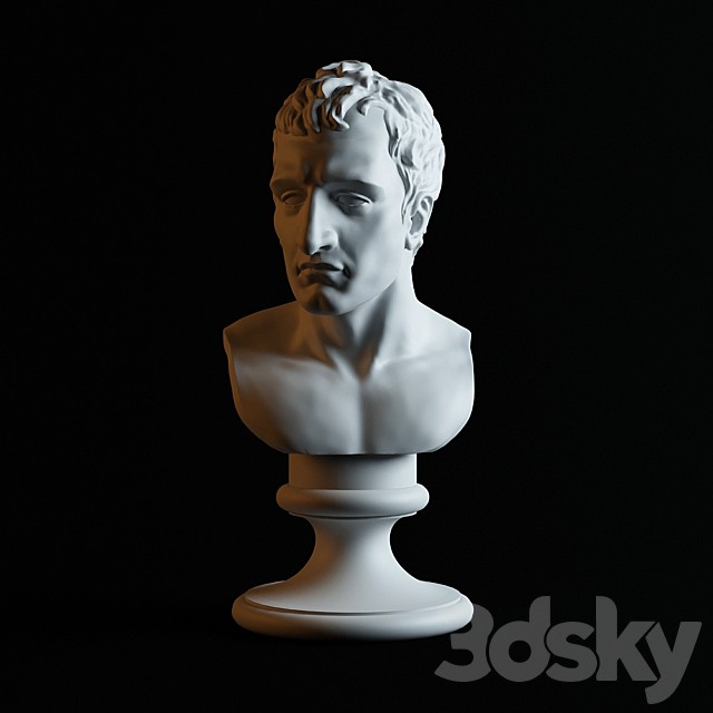 Bust of Napoleon