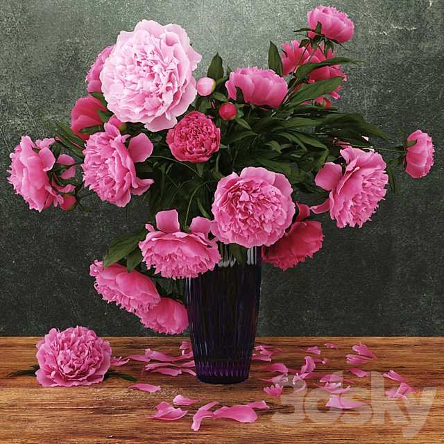Peonies