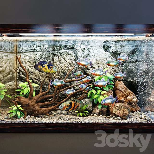 Aquarium