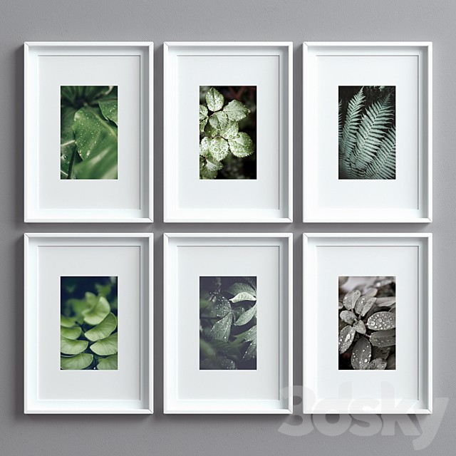 Picture Frames Set -8