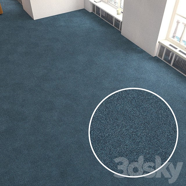 Carpet covering 224