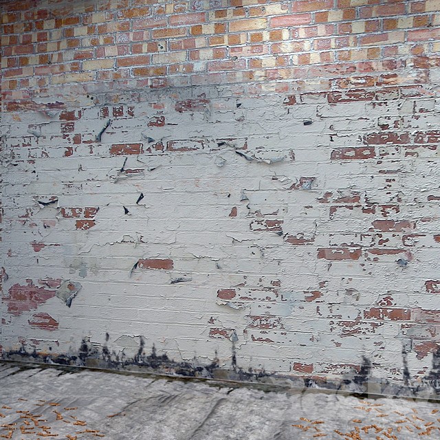 Old Bricks
