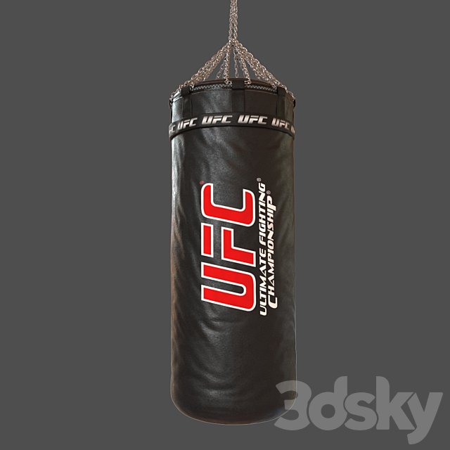 UFC Boxing Bag