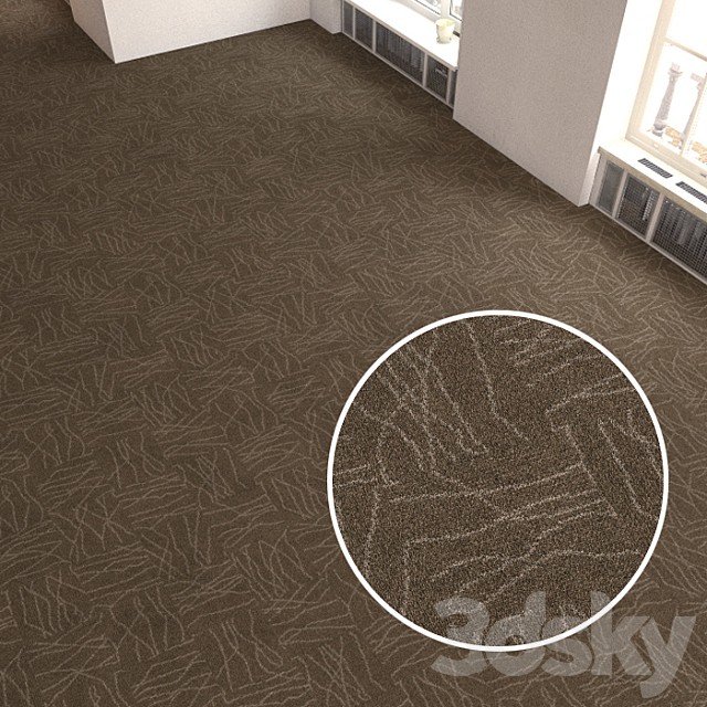 Carpet covering 309