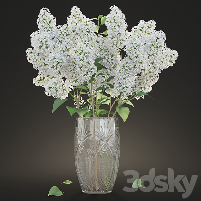 White lilac in a crystal vase / White Lilac in a crystal Vase