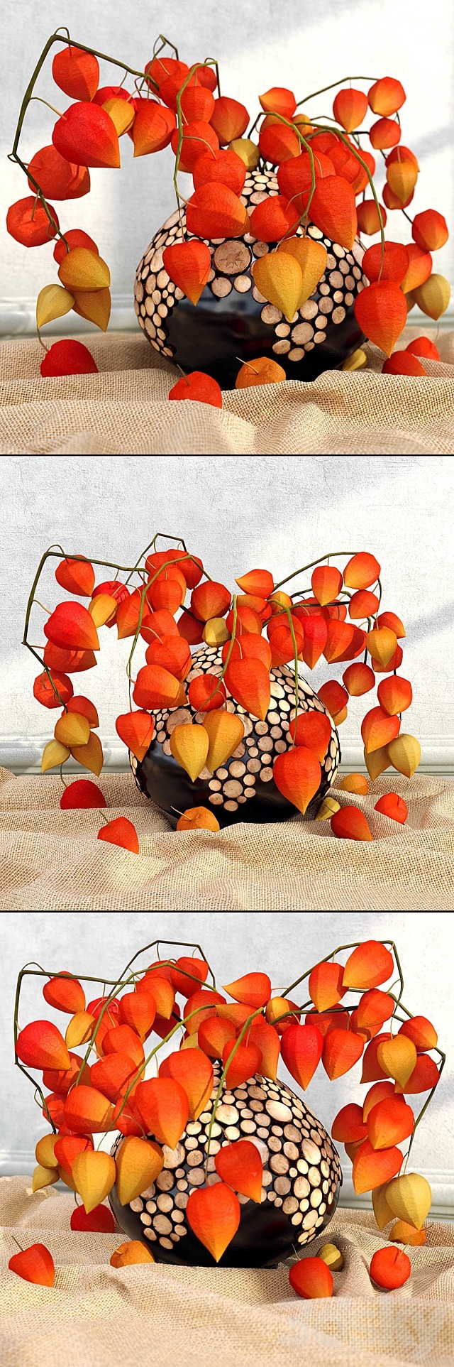 physalis in a vase