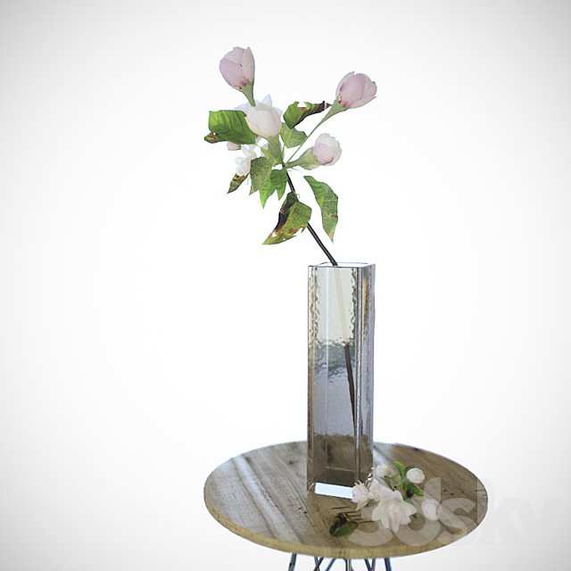 Apple tree branch