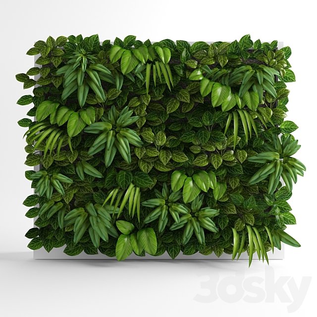 Green wall