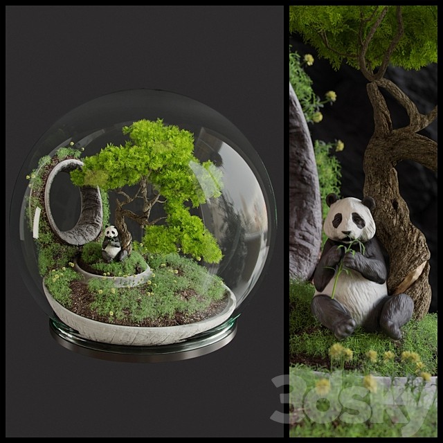 Florarium Bonsai