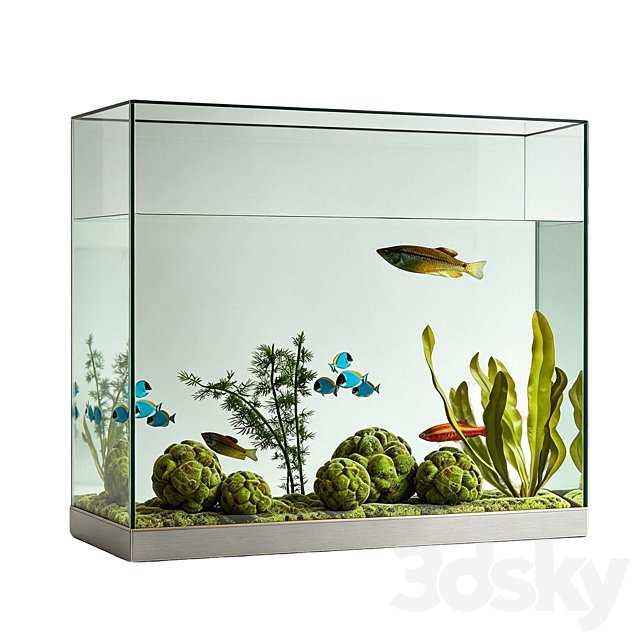 Fish tank01