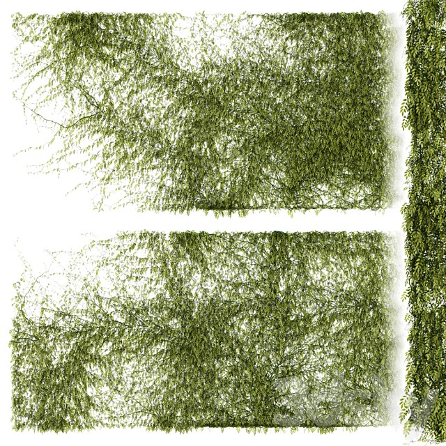 Leaves for walls v2