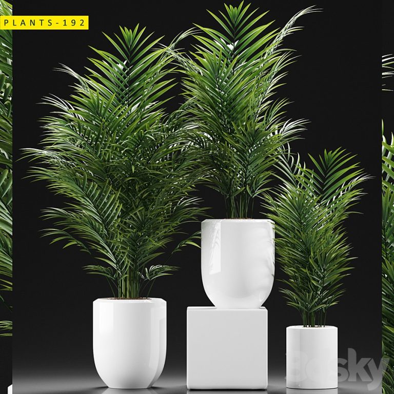 PLANTS 193