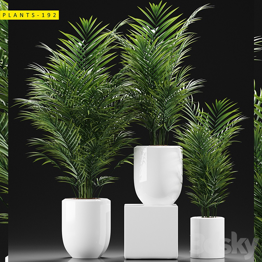 PLANTS 193