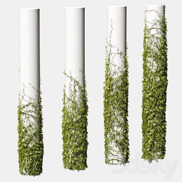 Leaves for round columns. 4 models