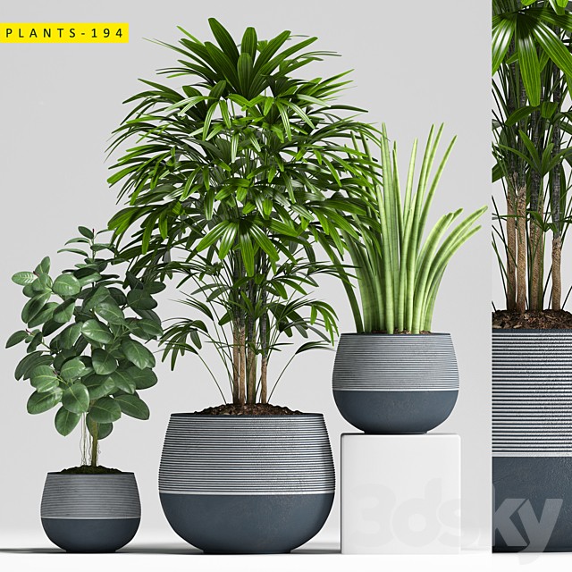 Plants 194