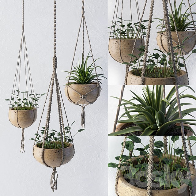 Decorative set of flower pots