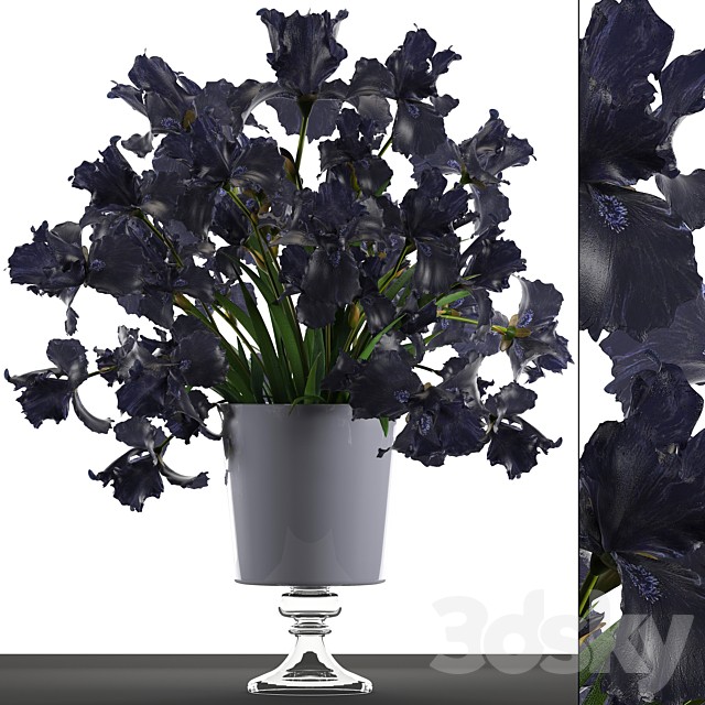 Collection of flowers 46. Black Irises. Black Irises, vase, table decor, luxury