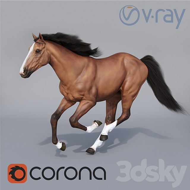 Running horse