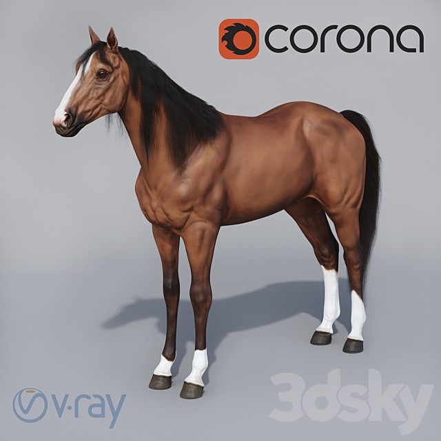 Standing horse