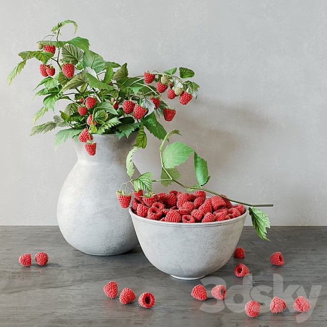Raspberries