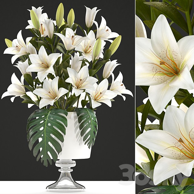 Bouquet of white flowers 51. Bouquet of Lilies, flower, lily, vase, decor