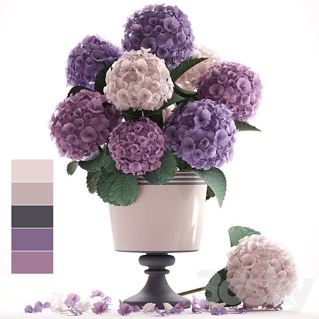 Collection of flowers 55. Hydrangea, blue flowers, flower, vase, branch