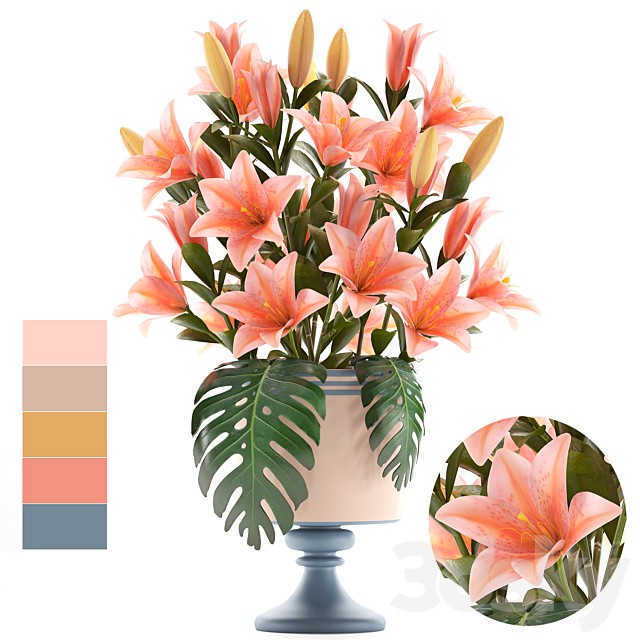 Collection of flowers 57. Bouquet of Lilies, flower, vase, decor