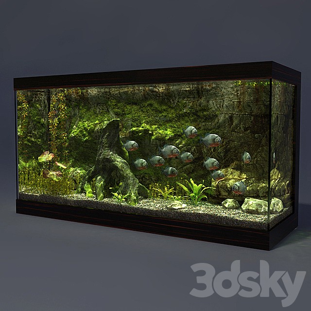 Aquarium