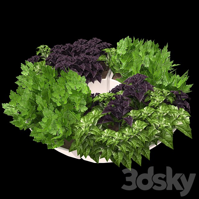 Decor with herbs