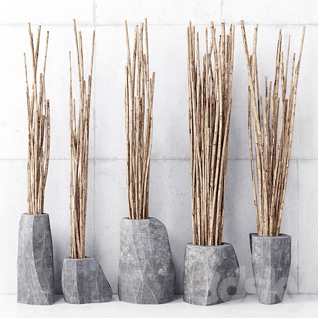 Branches in vases