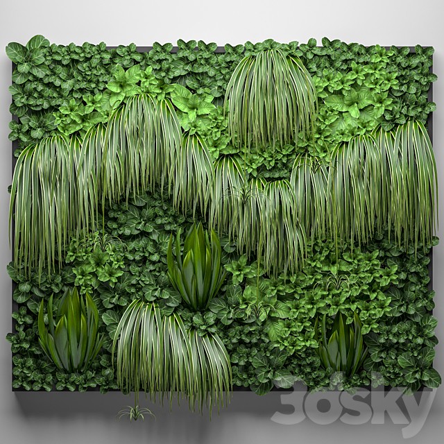 Vertical garden 15. Landscaping, phytowall, phytomodule, green wall, painting