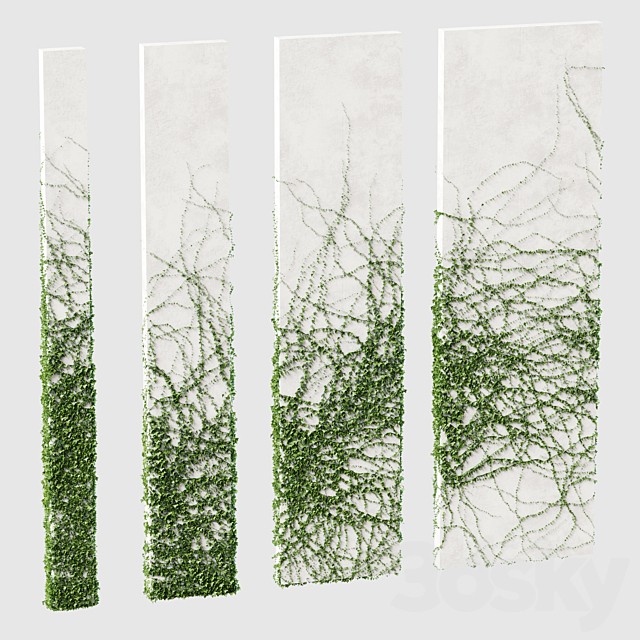 Ivy for rectangular columns. 4 models