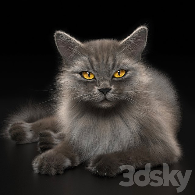 CAT 4 VRay