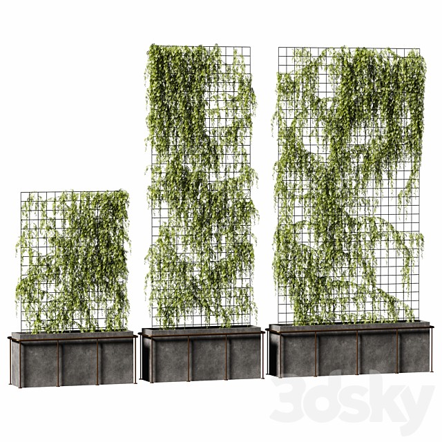 The plant on the grid. 3 models