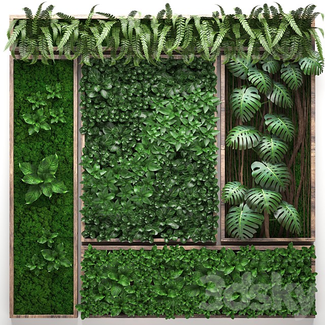 Vertical garden 22. Five separate modules, landscaping, phytowall, phytomodule, monstera, fern, eco design, natural decor
