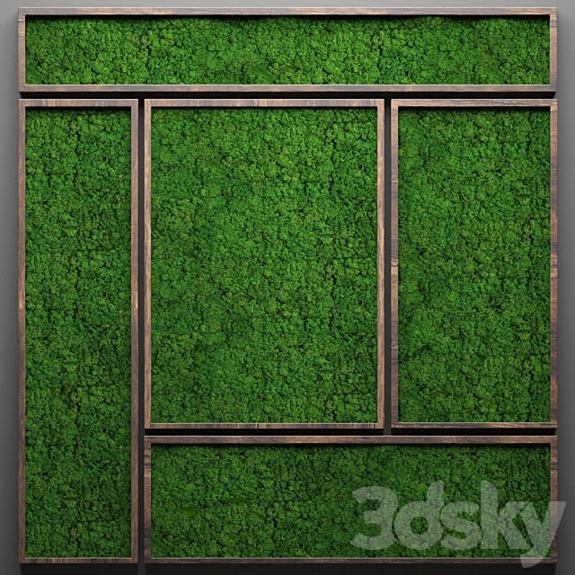 Vertical garden 23. Stabilized moss, wall decor, phytowall, phytomodule, landscaping