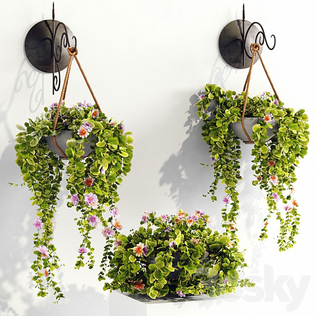 Plant pots