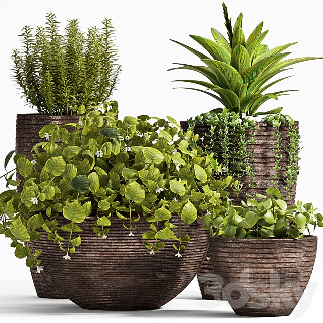 PLANT SET -101
