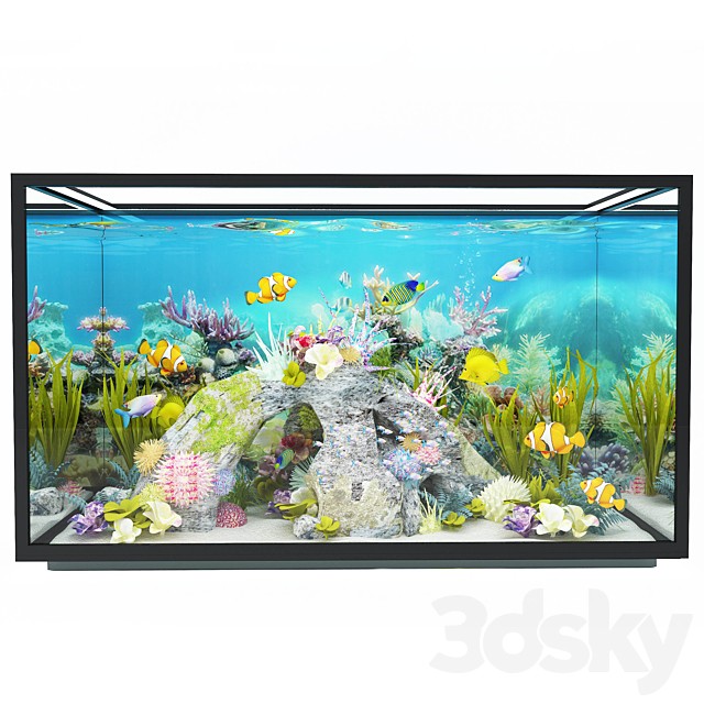 new modern aquarium