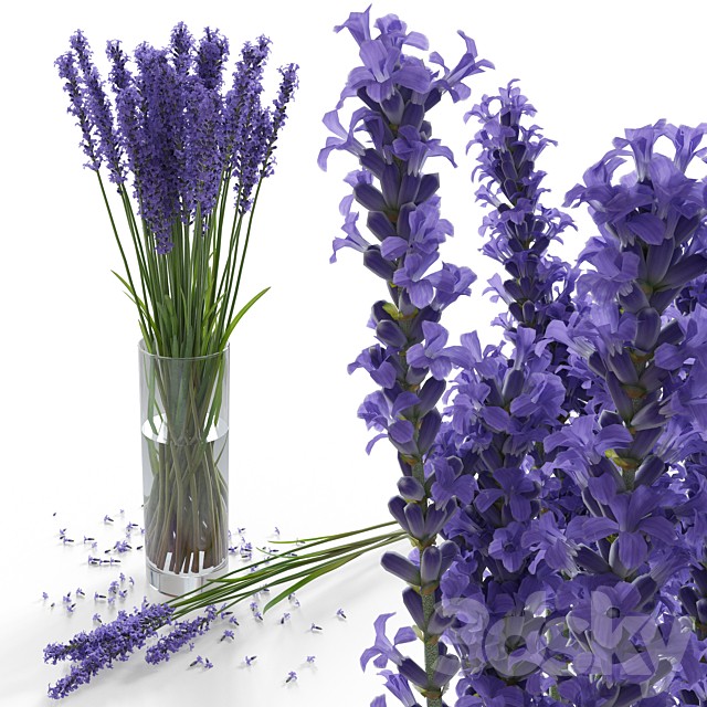 Lavender Bouquet