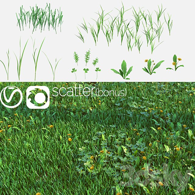 Set for the creation of field grass and lawns