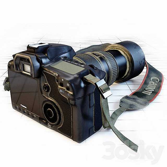Canon 5 d