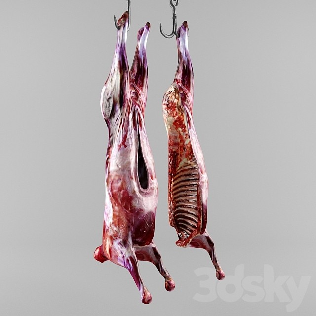 the carcass of an animal