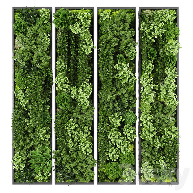 Vertical garden 243