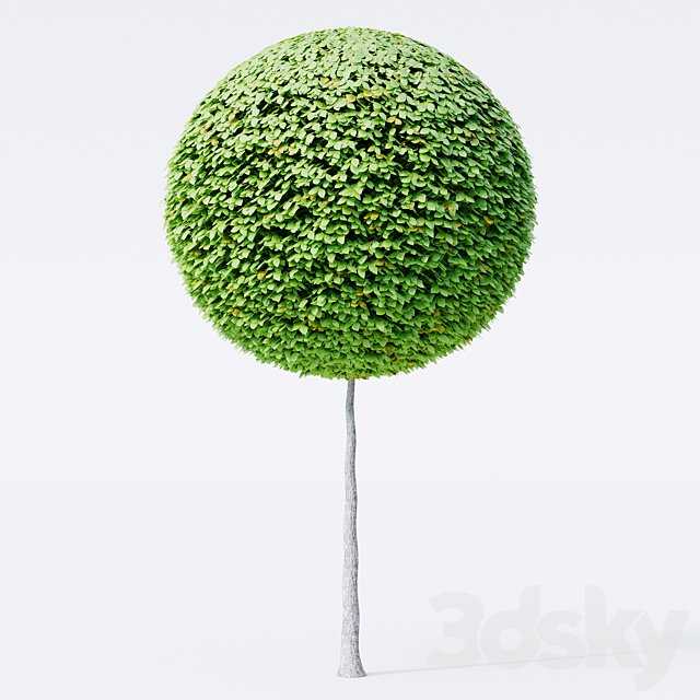 Geometric topiary trees
